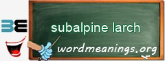 WordMeaning blackboard for subalpine larch
